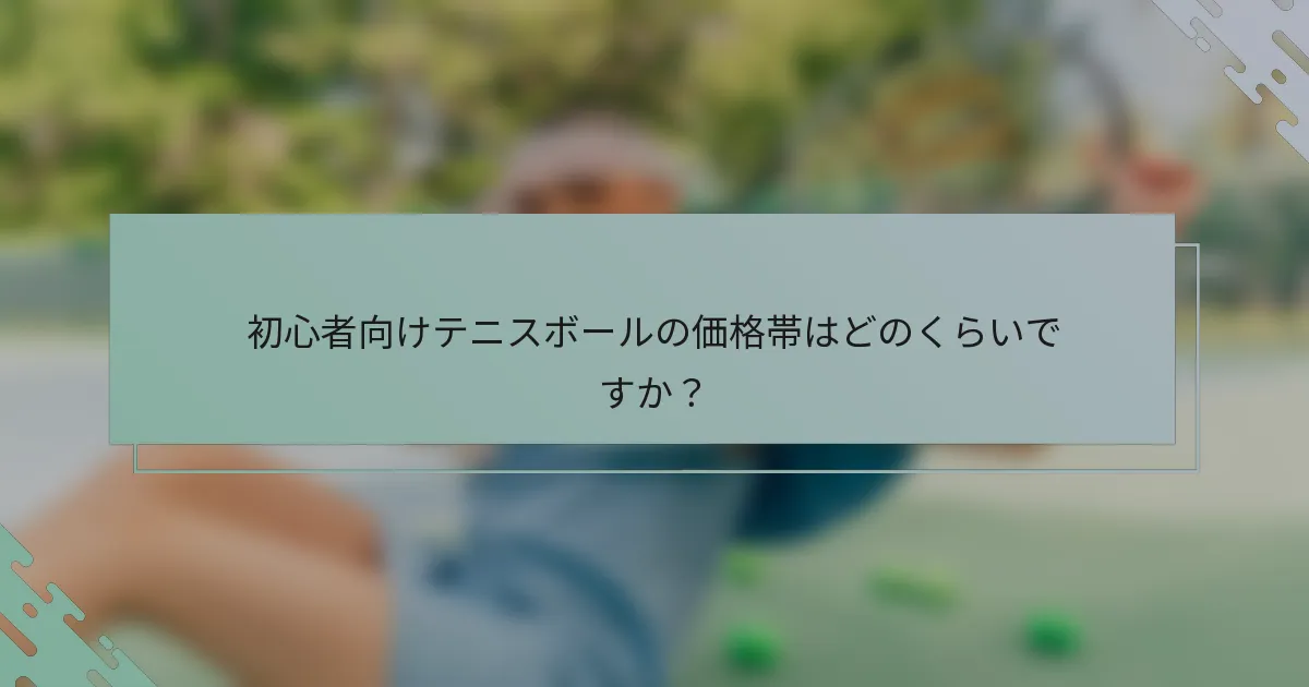 初心者向けテニスボールの価格帯はどのくらいですか？