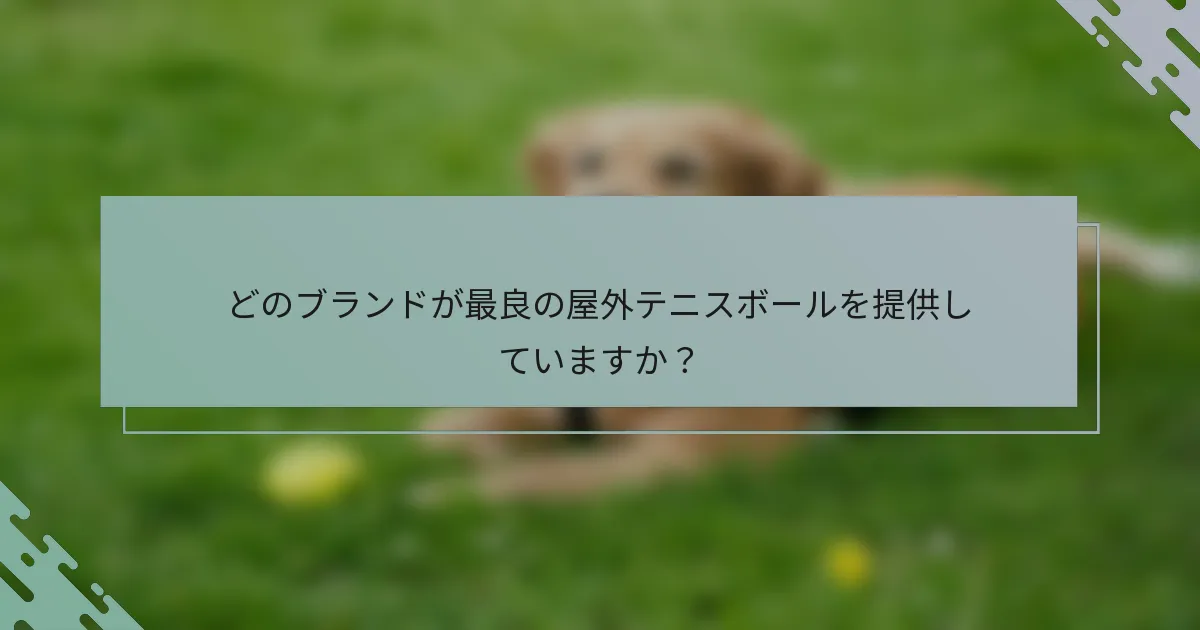どのブランドが最良の屋外テニスボールを提供していますか？