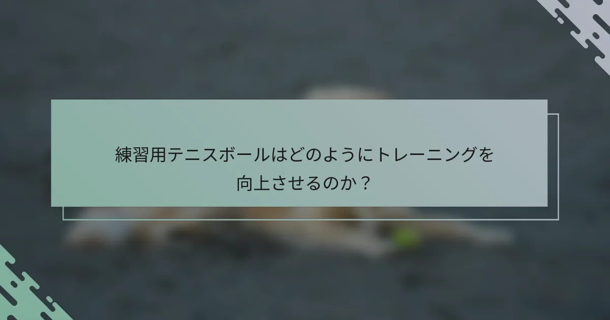 練習用テニスボールはどのようにトレーニングを向上させるのか？