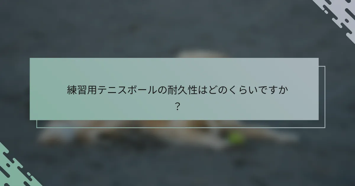 練習用テニスボールの耐久性はどのくらいですか？