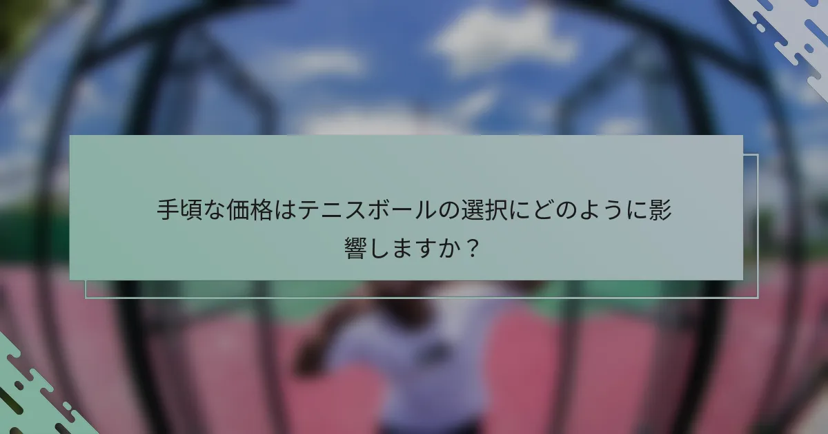 手頃な価格はテニスボールの選択にどのように影響しますか？