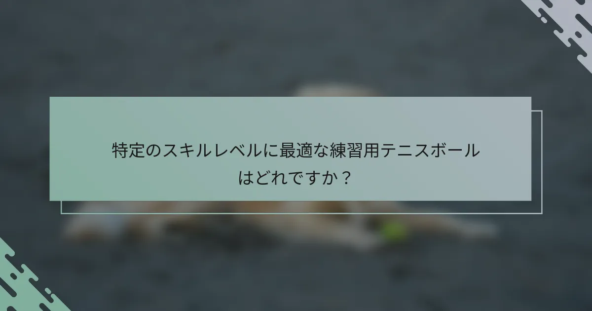 特定のスキルレベルに最適な練習用テニスボールはどれですか？