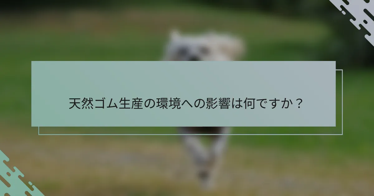 天然ゴム生産の環境への影響は何ですか？