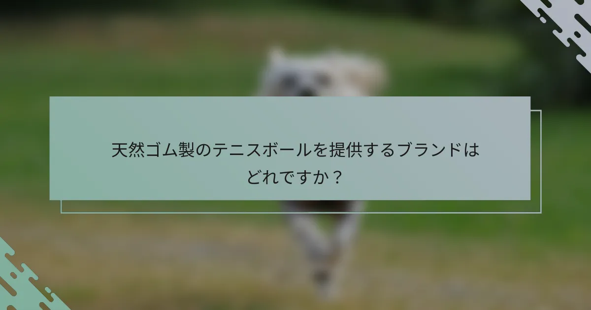 天然ゴム製のテニスボールを提供するブランドはどれですか？