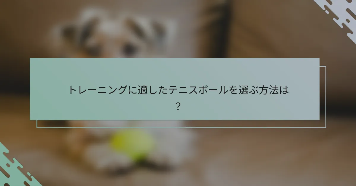 トレーニングに適したテニスボールを選ぶ方法は？