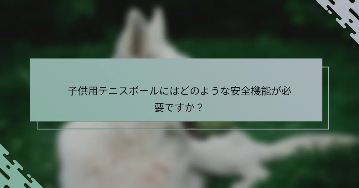 子供用テニスボールにはどのような安全機能が必要ですか？