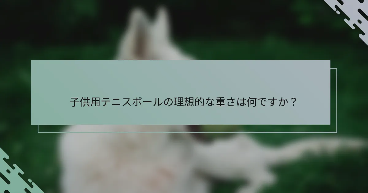 子供用テニスボールの理想的な重さは何ですか？